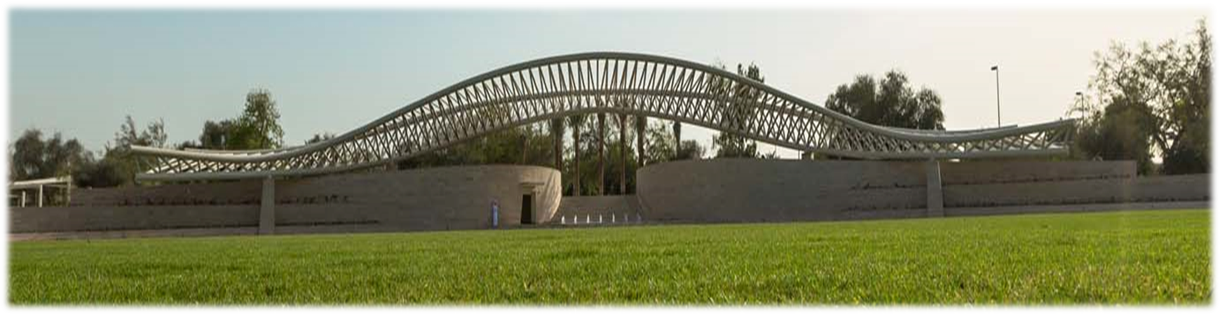 Picture6